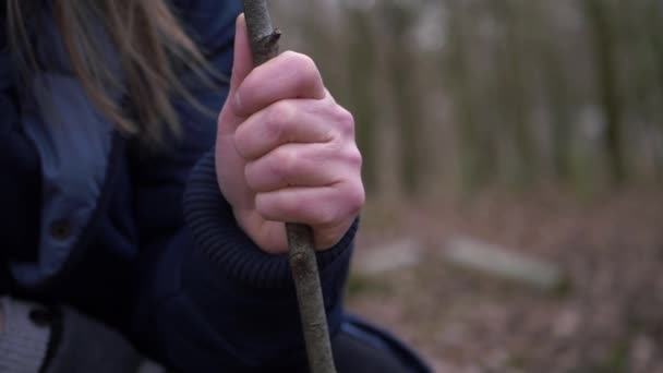 Χέρι κρατώντας ένα ξύλινο ραβδί στο Χειμερινό δάσος - Πλάνα, βίντεο