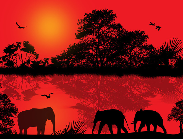 σιλουέτα ελεφάντων στην Αφρική - Διάνυσμα, εικόνα