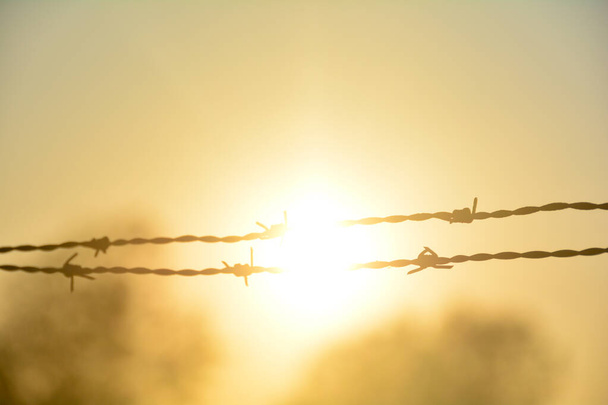 Blurred barbed wire fence silhouette at orange sunset, with sun as a background - Photo, Image