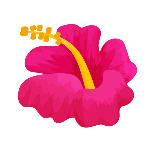 Hibiscus hlava květina v kresleném stylu izolované na bílém pozadí. Havajská, tropická, exotická dekorace, jeden objekt, designový prvek. Vektorová ilustrace - Vektor, obrázek