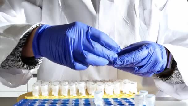 Laboratory researcher or nurse pipets patient sample into a test tube. Genetic engineering or genetic disease screening. Cancer and drug research and science - Footage, Video