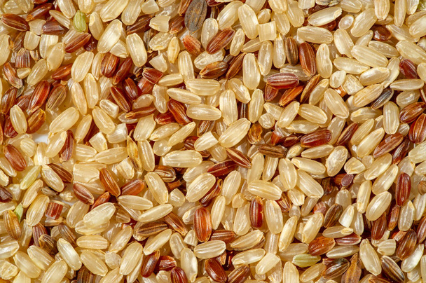 Złoty ryż Phoenix. Nasiona ryżu Phoenix są symbolem wiecznej odnowy i nieśmiertelności. Prawdziwe źródło zdrowia i długowieczności. Mieszanka brązu i czerwieni. Nieszlifowane. - Zdjęcie, obraz
