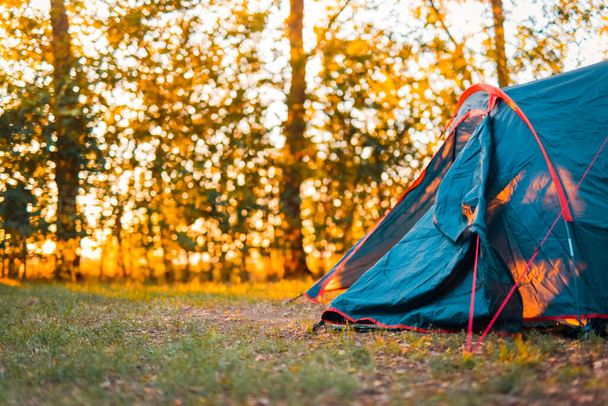 camping tent in the forest - Fotografie, Obrázek