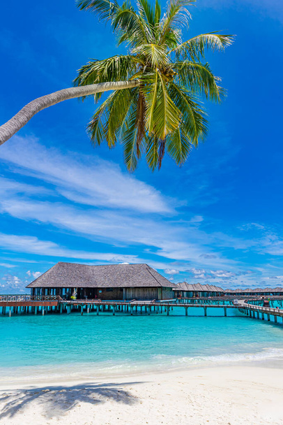 Krásná pláž s palmami a náladovou oblohou. Letní dovolená cestování dovolená pozadí koncept. Maledivy ráj pláž s vodní vily, bungalovy. Luxusní cestování letní dovolená koncept pozadí. - Fotografie, Obrázek
