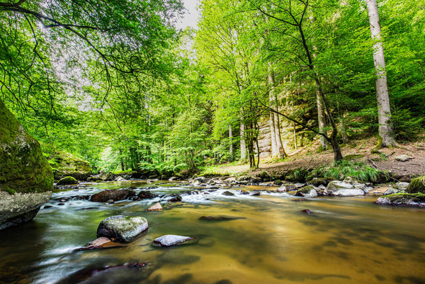 Un pequeño río en lo profundo de los bosques de los Alpes. Hermoso flujo de agua y soleado paisaje de naturaleza colorida. Increíble escena de la naturaleza de montaña pacífica y relajante, viaje de aventura primavera verano - Foto, Imagen