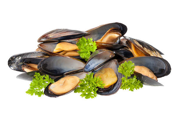 Mussels isolated - Photo, Image