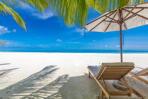 Hermoso paisaje de isla tropical, dos tumbonas, tumbonas, sombrilla bajo la palmera. Arena blanca, vista al mar con horizonte, cielo azul idílico, calma y relajación. Hotel resort de playa inspirador - Foto, imagen
