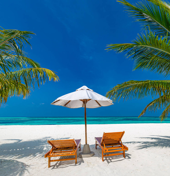 Tropical beach nature as summer landscape with lounge chairs and palm trees and calm sea for beach banner. Luxurious travel landscape, beautiful destination for vacation or holiday. Beach scene - Photo, Image