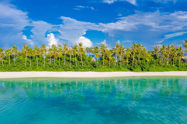 Niesamowita plaża przyrodnicza z palmami. Wakacyjne wakacje podróży koncepcja tła. Malediwy rajska plaża. Luksusowe podróże wakacje koncepcja tła. - Zdjęcie, obraz