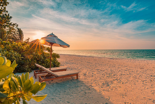 Spiaggia tropicale natura come paesaggio estivo con sedie a sdraio e palme e mare calmo per la spiaggia banner. Lussuoso paesaggio di viaggio, bella destinazione per le vacanze o le vacanze. Scena spiaggia - Foto, immagini