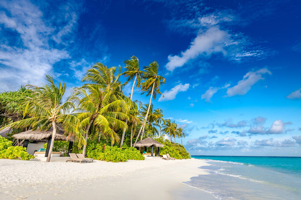 Hämmästyttävä luonto rantahiekkaa palmuja ja oikukas taivas. Rauhallinen kesäloma matka loma tausta käsite. Island resort hotel paradise beach. Ylellinen matka kesäloma tausta banneri - Valokuva, kuva