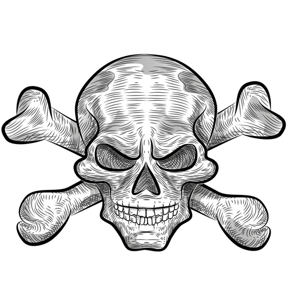 skull sketch design  - Vector, Image