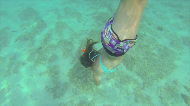 Mujer joven haciendo snorkel
 - Imágenes, Vídeo