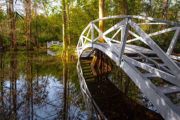 White wooden footbridge over a blackwater swamp at Magnolia Plantation in the low country of Charleston, South Carolina. - Foto, immagini