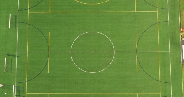 Luchtfoto van een multifunctioneel speelveld met voetbal en lacrosse - Video