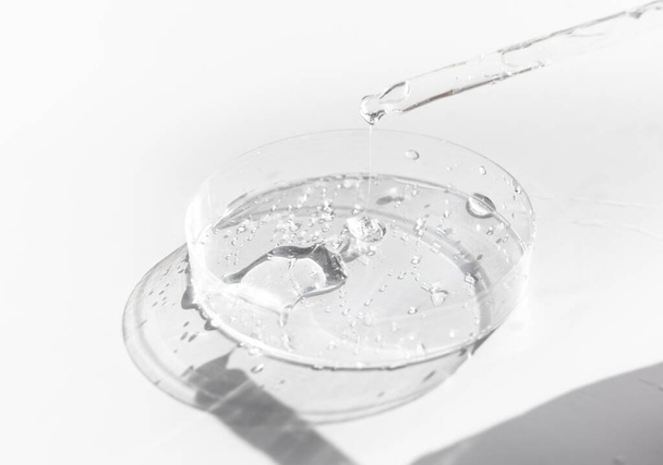 Transparante vloeibare gel of hyaluronzuur in petrischaaltje met pipet. Hydraterende en huidverzorgingsconcept - Foto, afbeelding