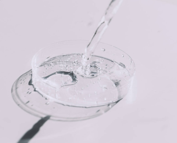 Прозрачный жидкий гель или гиалуроновая сывороточная кислота в чашке Петри с пипеткой. Концепция гидратации и ухода за кожей - Фото, изображение