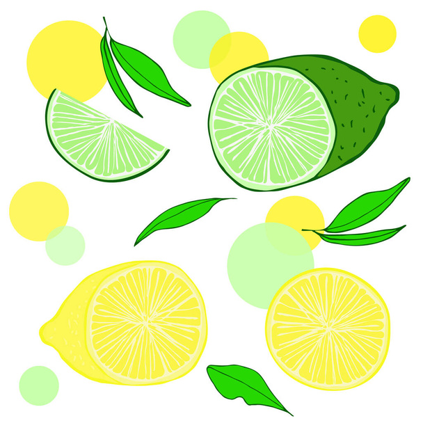 Sada citrusových plodů. Nakrájený citron s citrónem, celý kruh a kousek citrusu, listy. Pro design a dekoraci kaváren, balíčků, papíru, menu, ubrousků, kuchařek, pohlednic, jídel - Vektor, obrázek
