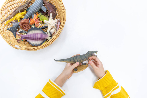 Draufsicht auf die Hände eines Mädchens beim Spielen und Sortieren von Figuren prähistorischer Tiere in der Montessori-Schule. Miniatur-Dinosaurier aus Plastik Ressourcennutzungskonzept für den Unterricht von Kindern. - Foto, Bild