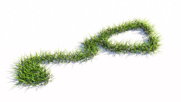 Concept of conceptuele groene zomer gazon gras symbool vorm geïsoleerd op witte achtergrond, teken van checkup stethoscoop. Een 3D illustratie metafoor voor een controle, behandeling, geneeskunde, gezondheid en zorg - Foto, afbeelding
