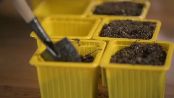 zahradník v rukavicích nalije na jaře půdu s hnojivy do plastové nádoby s špachtlí z krabice pro výsadbu rostlinných semen. Ekologické farmaření na jaře. Starat se o kytky. close-up - Záběry, video