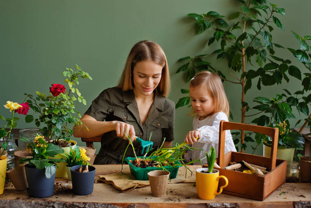 Μητέρα και κόρη αναλάβει τη φροντίδα των πράσινων φυτών στο δωμάτιο του σπιτιού, μεταφυτεύουν και να οδηγήσει έναν υγιεινό τρόπο ζωής, περνούν το σπίτι ελεύθερο χρόνο - Φωτογραφία, εικόνα