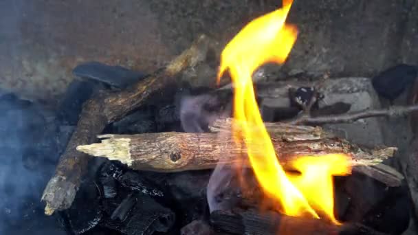 Embers brillando en el fuego ardiente quema carbón - Imágenes, Vídeo
