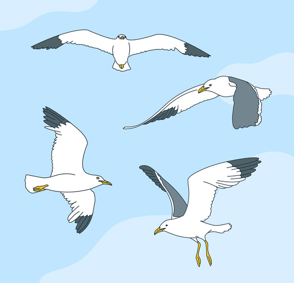 A seagull image set in various poses. hand drawn style vector design illustrations. - Vector, Image
