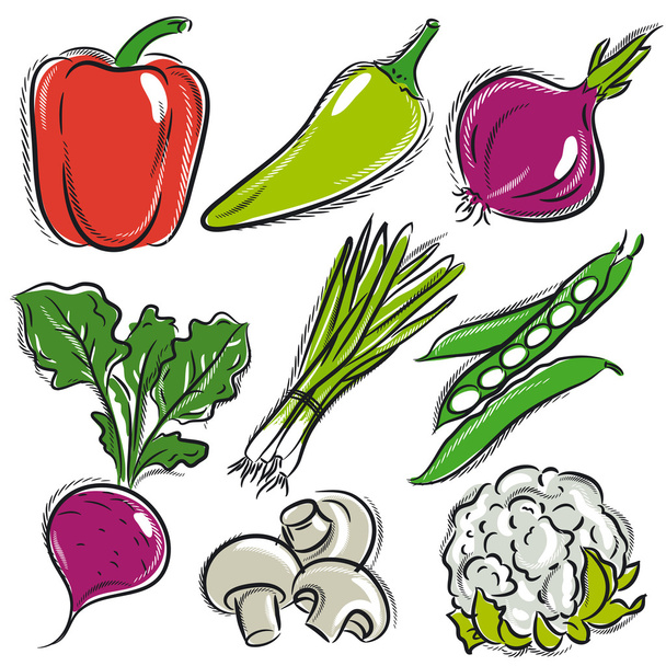 joukko vihanneksia, pippuria, sipulia, papuja, vektorin kuva
 - Vektori, kuva