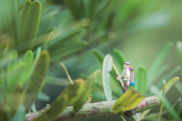 Funny macro view of toy hiker walking along the leafs, outdoor, daytime - Foto, Imagen