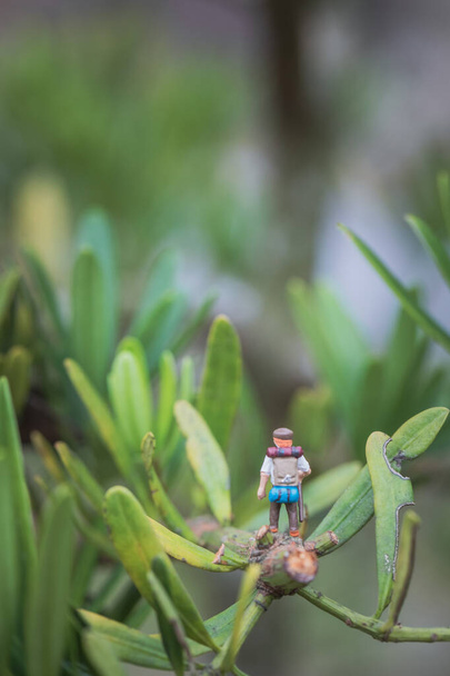 Funny macro view of toy hiker walking along the leafs, outdoor, daytime - Foto, imagen
