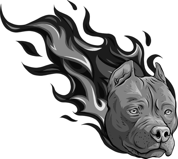 炎のベクトルを持つ犬のピッツブルの頭のデザイン - ベクター画像