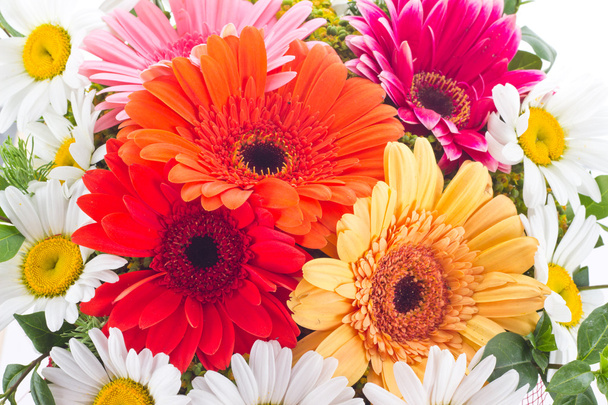 Gerbera y manzanilla flores en ramo
 - Foto, imagen