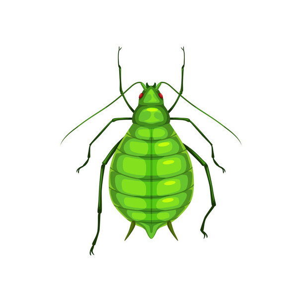 Aphid insect, parasite bug pest control and agriculture disinsection service, isolated vector. Aphid beetle or greenfly or blackfly vermin insect, plants pesticide pest control symbol - Vector, Image
