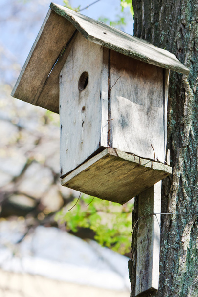 ev yapımı ahşap kuş evi bahar - Fotoğraf, Görsel