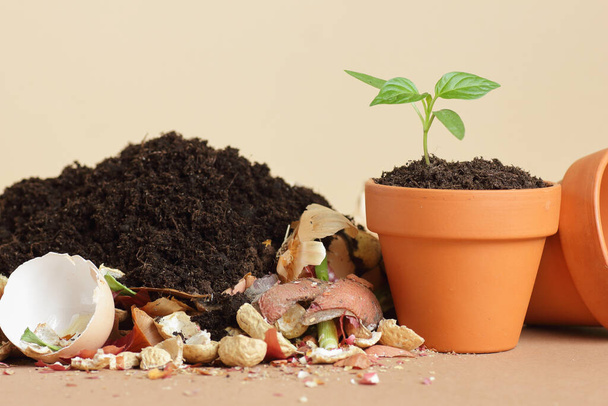 Organic waste, heap of biodegradable vegetable compost with decomposed organic matter on top and seedling in terracota flower pot, closeup, zero waste, eco friendly, waste recycling concept - Photo, image