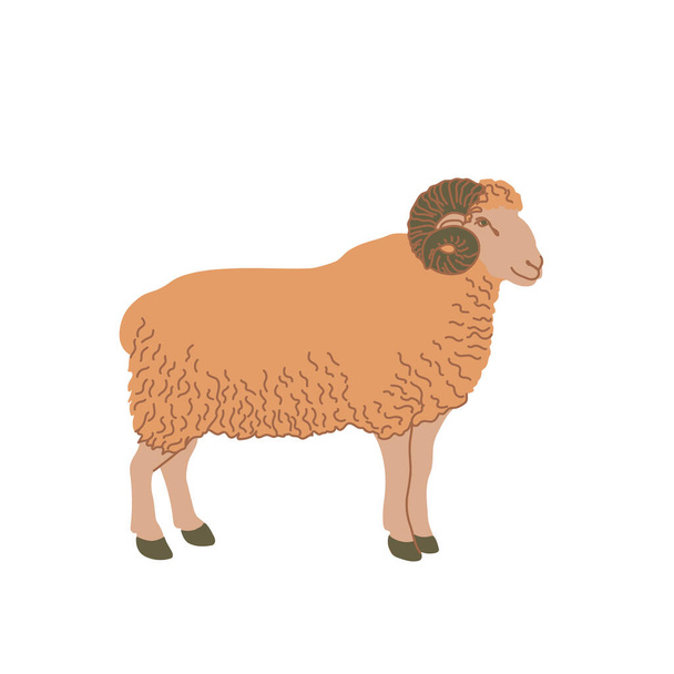 Ram in colored flat style. For logo, icons, emblems, template, badges. Vector illustration - Vector, Image