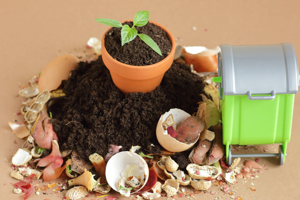 Organic waste, heap of biodegradable food compost with decomposed organic matter on top and green bin near, closeup, zero waste, eco friendly, waste recycling concept - Photo, image