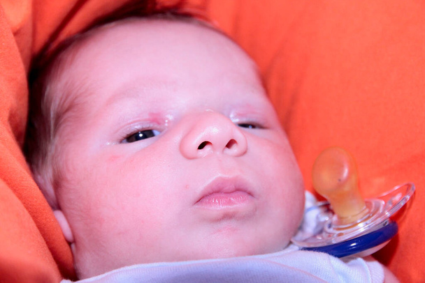 赤いソファの上の美しい新生児の肖像画。高品質の写真 - 写真・画像
