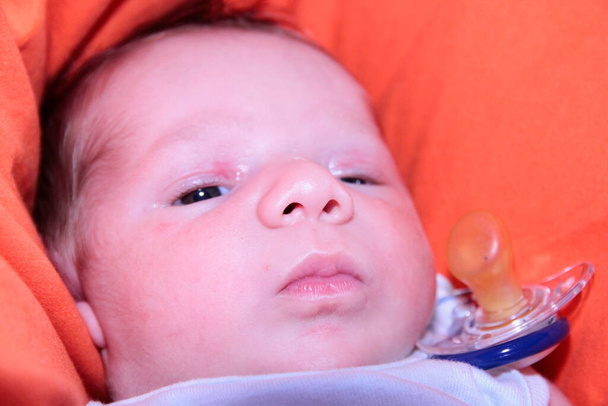 πορτρέτο του όμορφου νεογέννητου μωρού σε κόκκινο καναπέ. Υψηλής ποιότητας φωτογραφία - Φωτογραφία, εικόνα