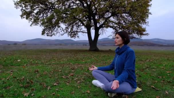 Donna godere di yoga al parco autunnale vicino quercia sola. zen pratica di meditazione yoga in natura. idea e concetto fitness, stile di vita sano, - Filmati, video