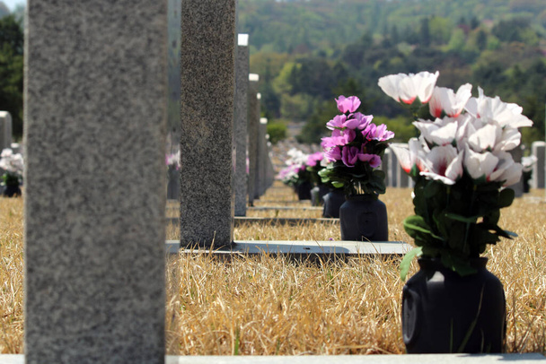 Nationale begraafplaats met een plechtige sfeer - Foto, afbeelding