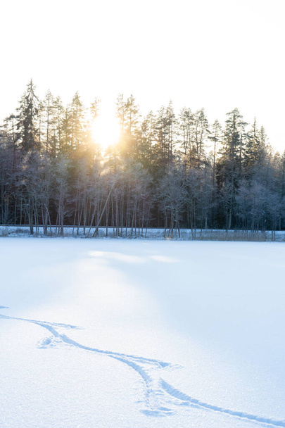 πίσω από το δάσος ο ήλιος και το χιόνι είναι αριστερά ίχνη από πίστες σκι σκιέρ - Φωτογραφία, εικόνα