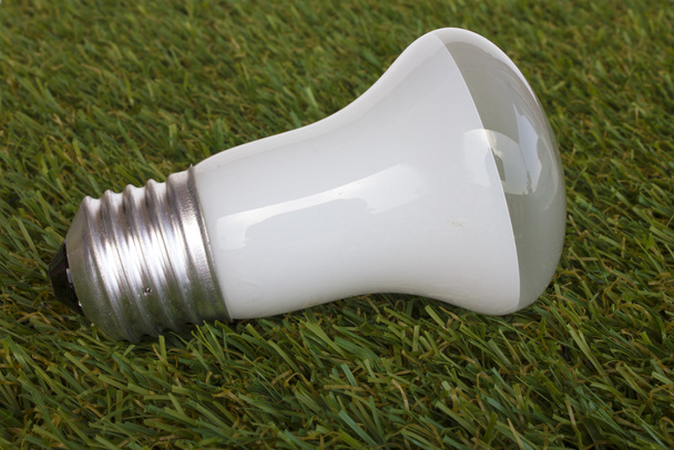 energiebesparende lamp op groen gras achtergrond - Foto, afbeelding