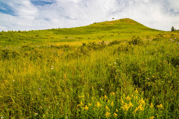 Flora abbonda intorno al ranch. Glenbow Ranch Provincial Recreation Area, Alberta, Canada - Foto, immagini