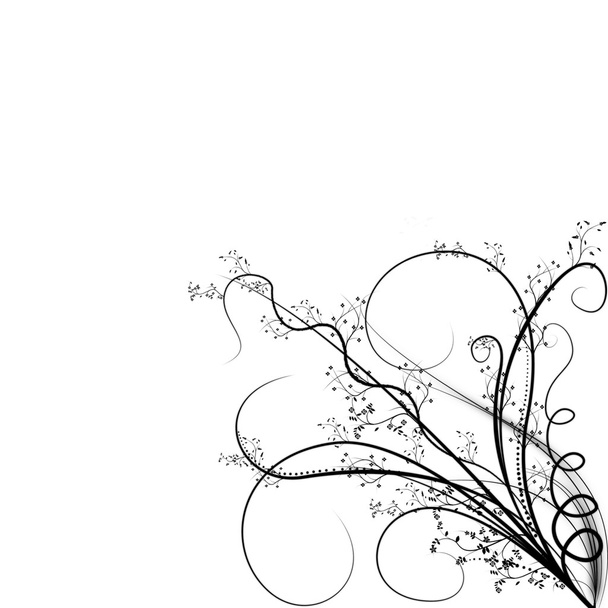 Beautiful illustrated flower background design with space for your text - Foto, immagini