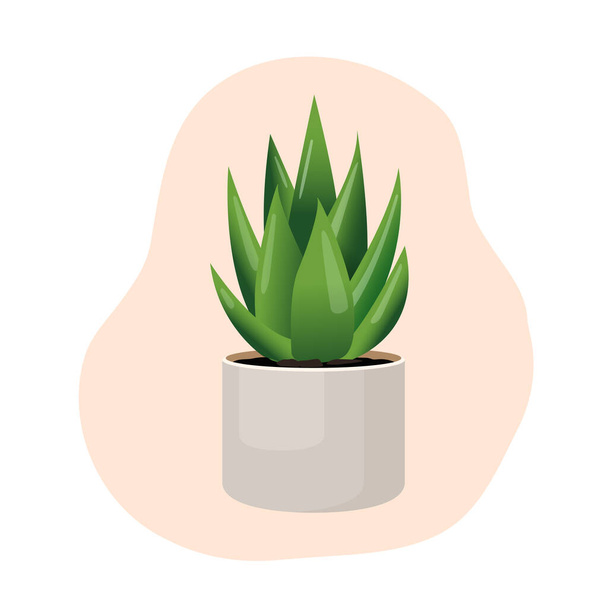 Beltéri növény aloe vera egy edényben belső dekoráció otthon, irodában, beltéri használatra. Vektor illusztráció elszigetelt fehér háttér. Trendi lakberendezés növényekkel, városi dzsungel. Szukkulens - Vektor, kép