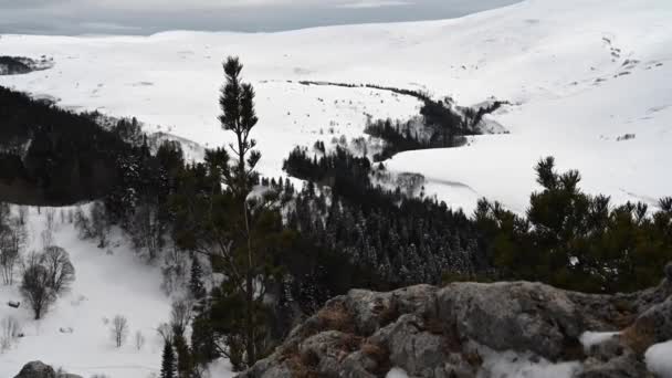 Paysage montagneux. Images du rocher Iron sur le plateau Lago-Naki. Adygea, Russie - Séquence, vidéo