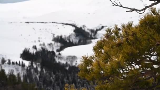 Berglandschaft. Aufnahmen vom Eisenfelsen auf dem Lago-Naki-Plateau. Adygea, Russland - Filmmaterial, Video