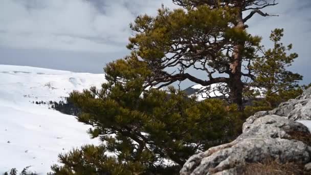 Berglandschaft. Aufnahmen vom Eisenfelsen auf dem Lago-Naki-Plateau. Adygea, Russland - Filmmaterial, Video